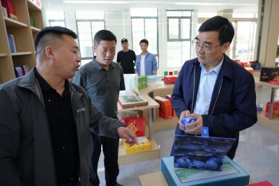 曹紫权一行到平山镇走访调研
